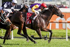 GUN MARE SNARES GROUP 2 TRIUMPH